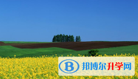 石家莊2021年中考重點線錄取