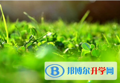 保定2021年中考志愿官網