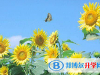 唐山2021年中考錄取報(bào)名網(wǎng)