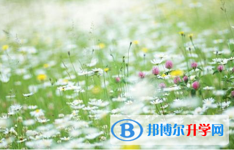 唐山2021年中考沒考上可以復讀嗎