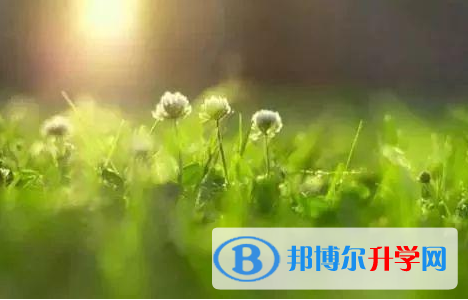 唐山2021年中考人數