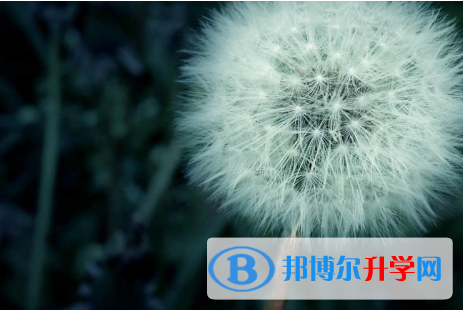 唐山2021年中考生落榜后可不可以選擇復讀