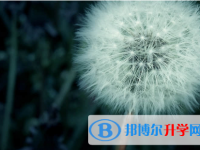 唐山2021年中考生落榜后可不可以選擇復讀