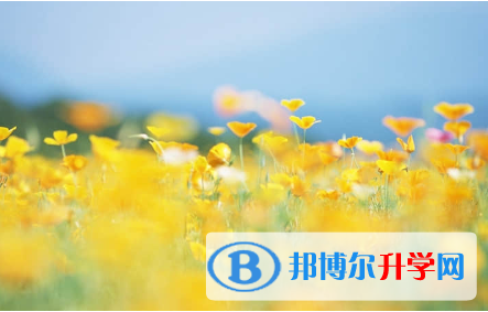 唐山2021年中考填志愿的網站