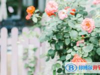 石家莊2021年中考需要準備什么