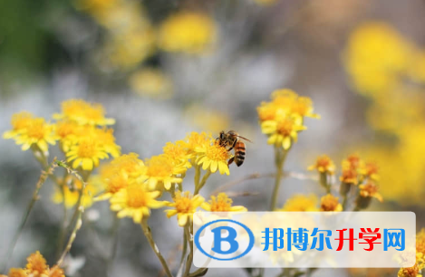 唐山2021年中考網錄取系統