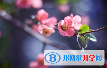 唐山2021年中考網絡服務應用平臺