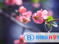 唐山2021年中考網(wǎng)絡(luò)服務(wù)應用平臺