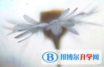 唐山2021年中考網絡平臺