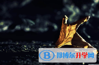 唐山2021年中考網絡應用服務平臺