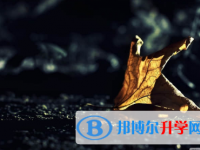 唐山2021年中考網(wǎng)絡(luò)應用服務(wù)平臺