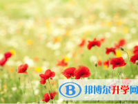 唐山2021年中考網(wǎng)絡(luò)應用平臺