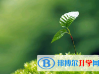 唐山2021年中考網(wǎng)上報(bào)名系統(tǒng)
