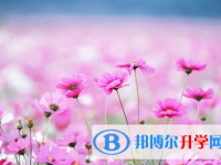 唐山2021年中考網(wǎng)上模擬報(bào)名
