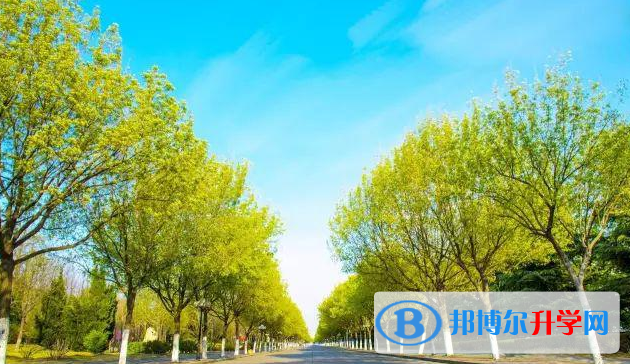 石家莊2021年如果中考沒考上讀什么好