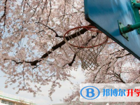 石家莊2021年什么時候中考