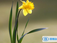 石家莊2021年中考報(bào)名是哪個(gè)網(wǎng)站