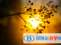 唐山2021年中考招生計劃查詢