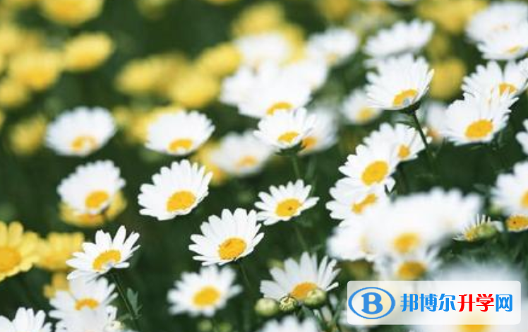 石家莊2021年中考報名網站登錄