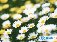石家莊2021年中考報(bào)名網(wǎng)站登錄