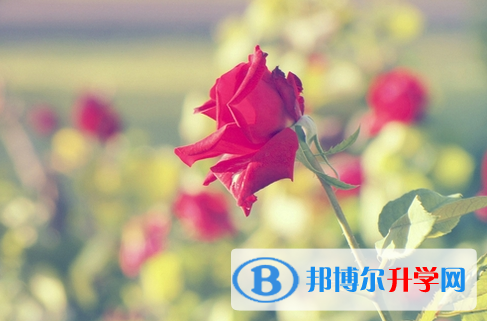 唐山2021年中考志愿如何填寫