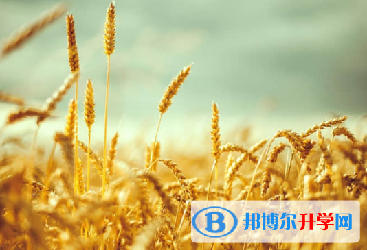 唐山2021年中考準考證信息