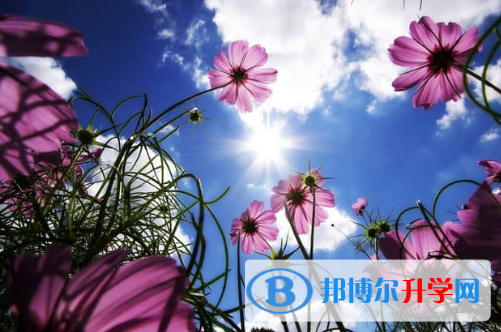 唐山2021年中考自主招生時間