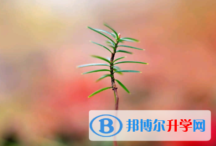 秦皇島2021年中考自主招生考試學校