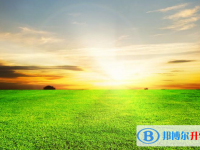 邯鄲2021年中考報名服務平臺
