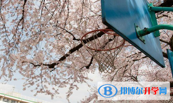 邯鄲2021年中考升學率