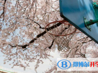 邯鄲2021年中考升學率