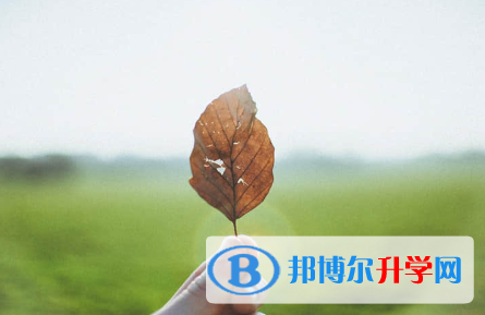 秦皇島2021年中考時間