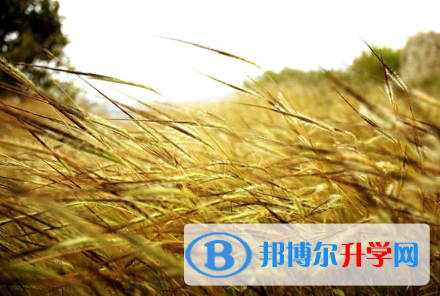 秦皇島2021年中考時間安排