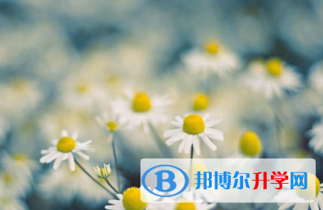 秦皇島2021年中考應對策略