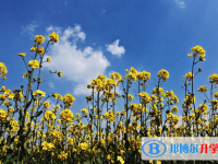 邯鄲2021年中考準考證丟了怎么辦