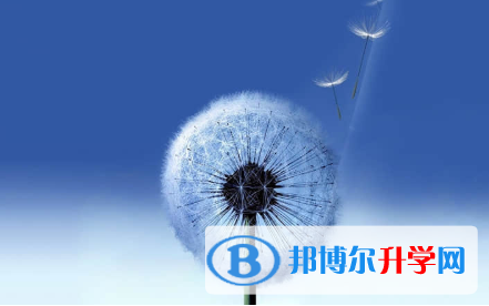 秦皇島2021年中考重點復習