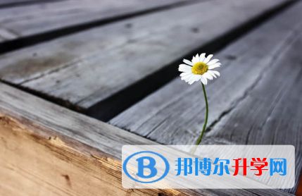 秦皇島2021年中考注意事項和技巧