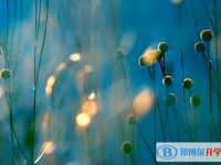 邯鄲2021年中考需要準備什么