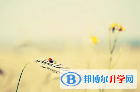 秦皇島2021年中考有不有補錄