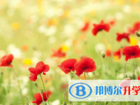 秦皇島2021年中考后可以上什么學校