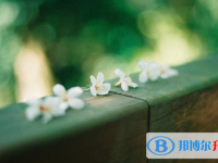 邯鄲2021年怎樣中考正常發揮