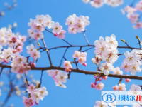 邯鄲2021年這次中考多久結(jié)束