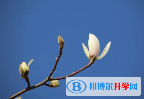 秦皇島2021年中考報名自薦信怎么寫