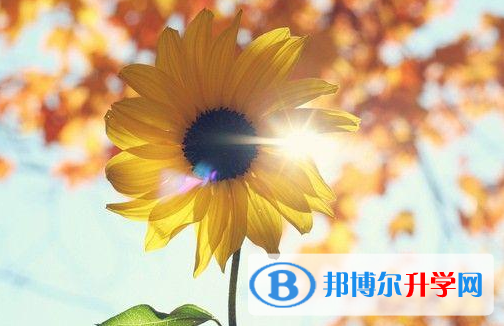 邯鄲2021年什么是中考調劑生