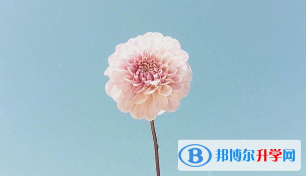 邯鄲2021年優志愿中考版