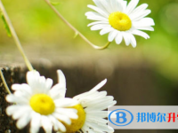 邯鄲2021年中考填報志愿后還可以改嗎