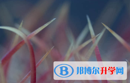 秦皇島2021年中考網絡應用服務平臺登錄