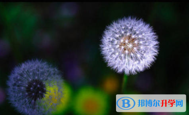 邯鄲2021中考調劑志愿是什么意思