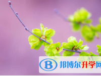 秦皇島2021年中考網上志愿如何打印
