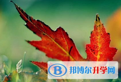 秦皇島2021年中考報(bào)考志愿表